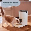 Automatic Cat Feeder with LCD Display, Smart Programmable Food Dispenser for Timed Meals - 2 of 4