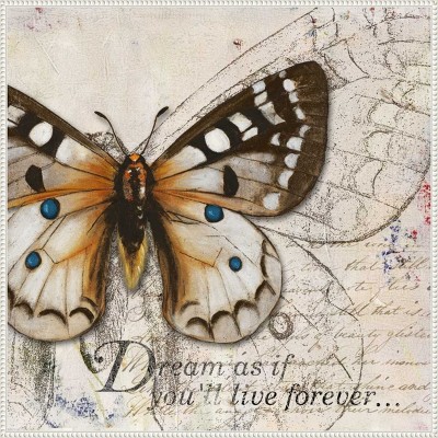 Amanti Art Living your Dreams I Butterfly by Patricia Pinto Canvas Wall Art Print Framed 30 x 30-in.