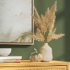 Small Pampas Grass Arrangement - Threshold™ - 2 of 3