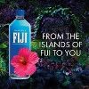 FIJI Natural Artesian Bottled Water 1 Liter / 33.8 Fl Ounce (Pack of 12) - 100% Natural Electrolytes - 4 of 4