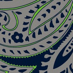 seattle seahawks