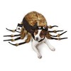 Zack & Zoey Fuzzy Tarantula Costume for Dogs - 2 of 4