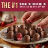 Queen Anne Dark Chocolate Covered Cordial Cherries | 13.2 oz | 20 Piece Gift Box | Whole Cherry Sweet Creamy Fruity | Holiday Candy - 4 of 4