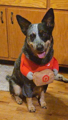 Guest review image 1 of 1, zoom in