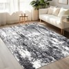 Modern Abstract Area Rug Machine Washable Non Slip Stain Resistant Pet Friendly Perfect for Living Room Bedroom Kitchen - 3 of 4