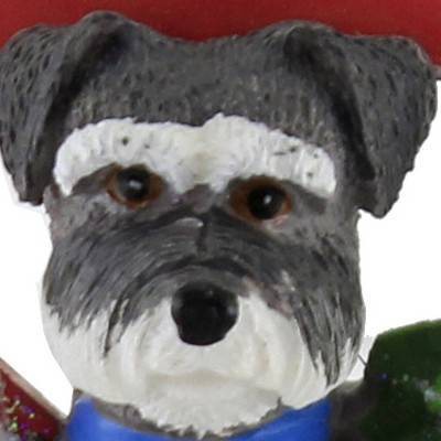 schnauzer