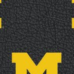 michigan wolverines