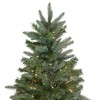 Northlight Real Touch™ Pre-Lit Medium Granville Fraser Fir Artificial Christmas Tree - 9' - Clear Lights - 4 of 4