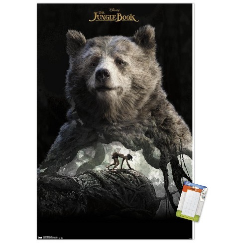 The Bear Movie Poster TV Series Quality Glossy Print Photo 