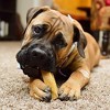 Chewmeter Himalayan Yaky  Yak Cheese Dog Chew - 4 of 4