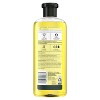 Herbal Essences Shine Shampoo with Chamomile Aloe Vera & Passion Flower Extracts - 2 of 4