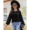 Womens Tops V Neck Long Lantern Sleeve Shirts Tunic Top Casual Loose Blouse - 4 of 4