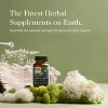 Gaia Herbs Adrenal Health Nightly Restore - Adrenal Support Herbal Supplement - 3 of 4