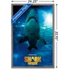Trends International Shark Week - Smile Framed Wall Poster Prints - 3 of 4