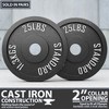 Synergee Standard Metal Weight Plates - 2 of 4