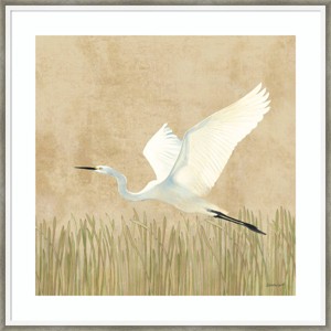 25" x 25" Egret Alighting II by Kathrine Lovell Wood Framed Wall Art Print - Amanti Art: Giclee Lithograph, Hardwood Frame - 1 of 4