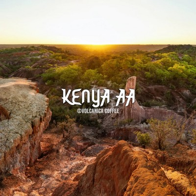 Volcanica Coffee, Kenya AA Coffee, Fresh Roasted, 16 oz