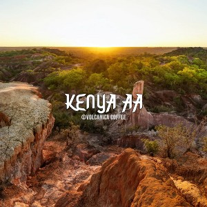 Volcanica Coffee, Kenya AA Coffee, Fresh Roasted, 16 oz - 1 of 4