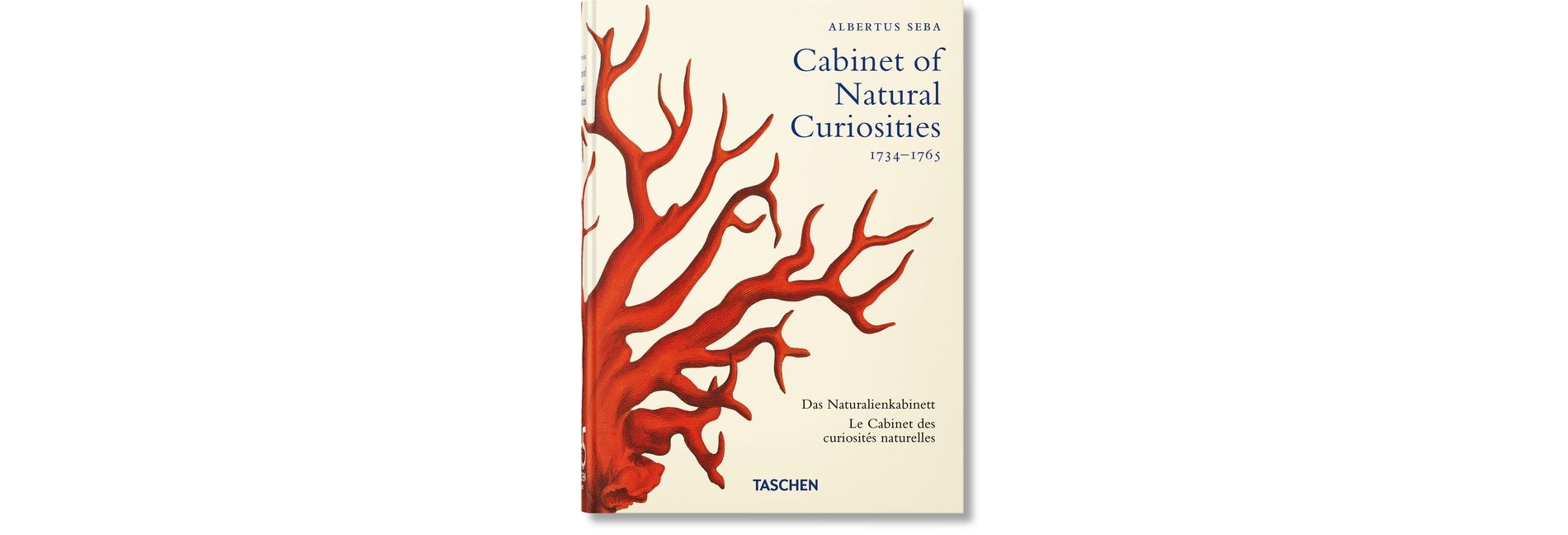 Seba. Cabinet of Natural Curiosities. 45th Ed. - (40th Edition) by  Irmgard Müsch & Jes Rust & Rainer Willmann (Hardcover)