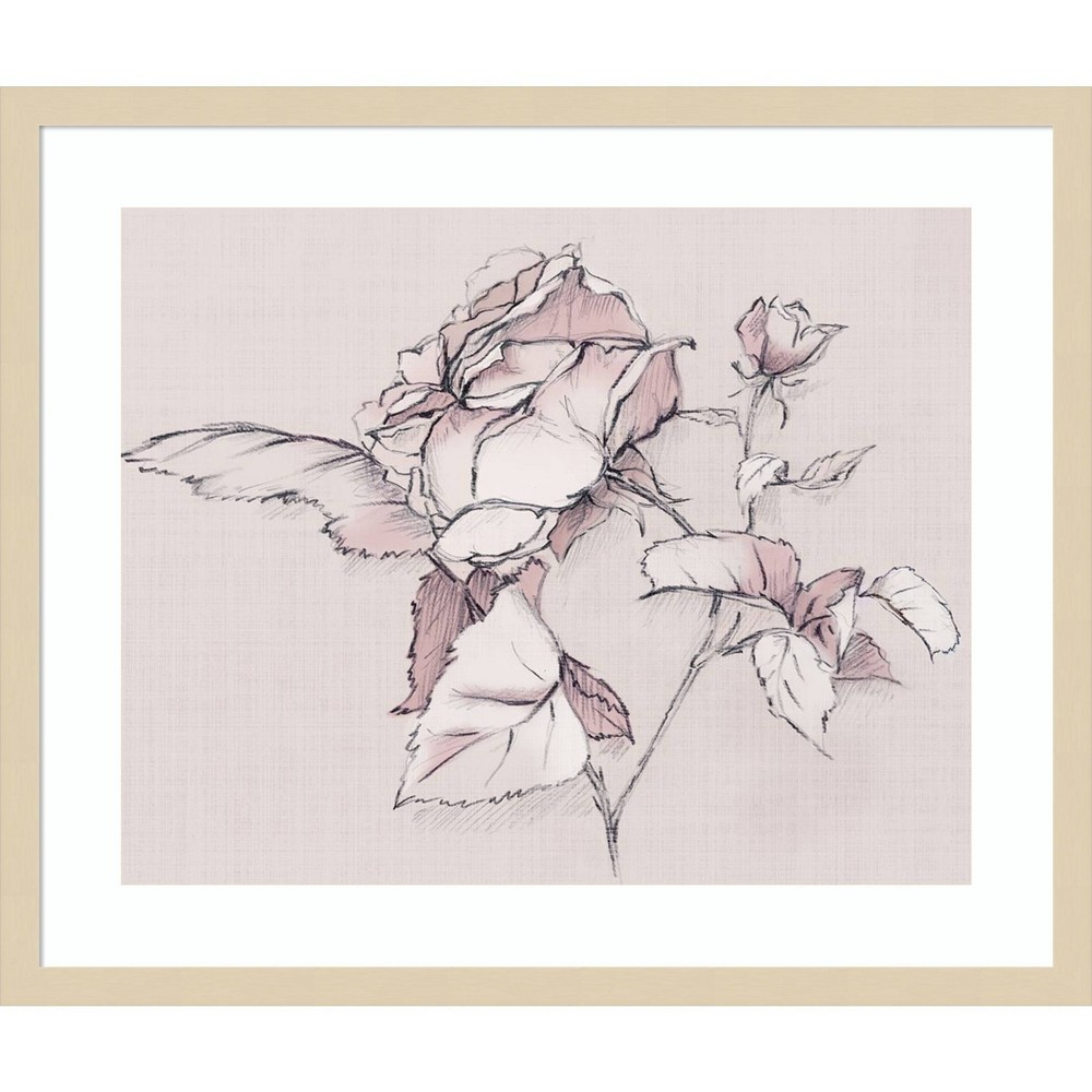 Amanti Art 25x21 Blush Floral Flourish by Alex Black Wood Framed Wall Art Print