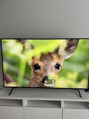 Guest review image 5 of 6, zoom in