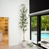 Nearly Natural 9-ft Artificial Olive Tree with Natural Trunk - 4 of 4