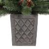 Haute Decor 4.5' Prelit Evergreen Potted Christmas Tree - 3 of 4