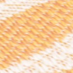 cream/orange