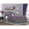 AFI Furnishings Warren Platform Bed F with Footboard & T Trundle AG - 4 of 4