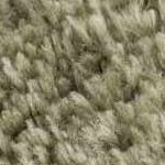 off white, lime green