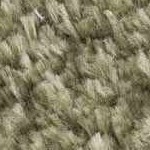 off white, lime green