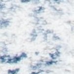 ivory/navy