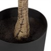 Kate and Laurel Oliveira Modern Faux Olive Tree, 5 FT, Potted Artificial Olive Plant Tree - 3 of 4