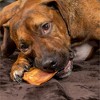 Pet Factory Real Chewz Premium Pig Ears - 7 Count - 3 of 4
