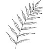 Kris Kivu Botanical Line Art Ink Leaf Shower Curtain White - Deny Designs: Polyester, Machine Washable, Ring Top - 3 of 4