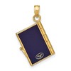 Black Bow Jewelry 14k Yellow Gold and Navy Blue Enamel 3D Passport USA Pendant - 4 of 4