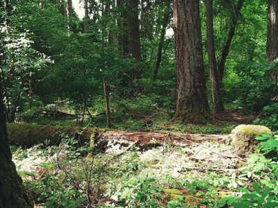 Guest review image 3 of 3, zoom in