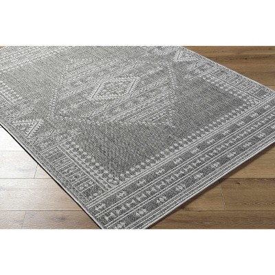 Hauteloom Asuman Living Room, Bedroom Patio Outdoor Area Rug - Traditional, Transitional