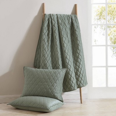 Twin Dark Green Velvet Reversible Quilt Set