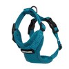 Voyager Step-In Lock Adjustable Dog & Cat Harness and 5ft Leash Combo - 3 of 4