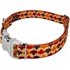 Country Brook Petz Premium Dog Collar - Awesome Autumn Collection - 4 of 4