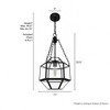Hunter Fans Indria 1 - Light Pendant in  Rustic Iron - 4 of 4