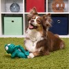 goDog Double Chew Guard Technology Chameleon Squeaker Plush Dog Toy, Teal, Medium - 3 of 4