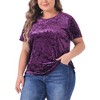 Agnes Orinda Women's Plus Size Velvet Soft Crew Neck Short Sleeve Party T-Shirts - 2 of 4