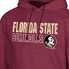 NCAA Florida State Seminoles Men's Hooded Sweatshirt - 3 of 3