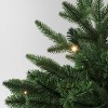 20" Pre-lit LED Battery Operated Mixed Pine Mini Christmas Artificial Pot Filler Warm White Lights - Wondershop™: Indoor/Outdoor - 3 of 4