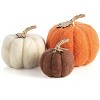 Shiraleah Assorted Set Of 3 Felt Fall Decorative Pumpkins - 3 of 4