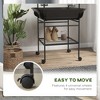 Gulches Dark Gray PawHut Bird Stand with Wheels, Parrot Stand with Perches Bird Play Stand for Indoor Outdoor Small Parrot - 4 of 4