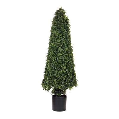Potted Boxwood Cone Topiary 51"H