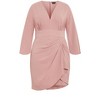 Women's Plus Size Malani Dress - rose | CITY CHIC - 4 of 4